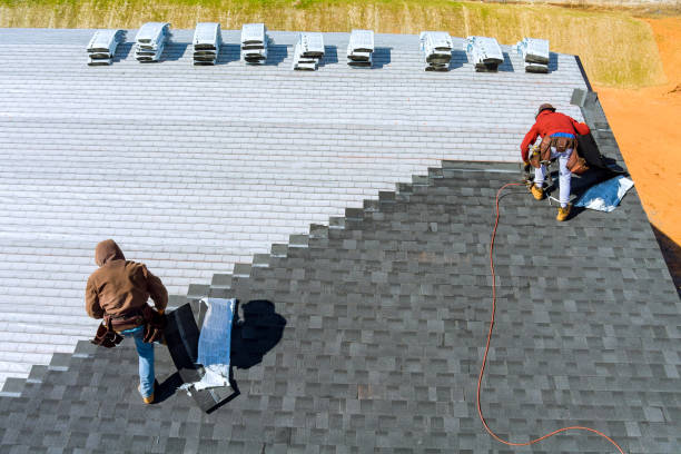 Best Roof Leak Repair  in Mission, SD