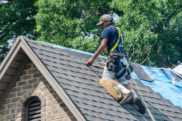 Best Flat Roof Repair Services  in Mission, SD